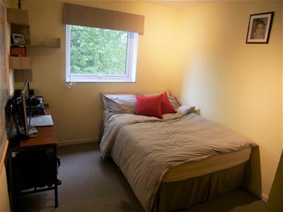 Picture 7